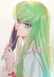 Rule 34 | 1girl, brown eyes, c.c., code geass, creayus, frilled shirt, frills, from side, green hair, holding, holding mask, long hair, long sleeves, looking at viewer, mask, red ribbon, ribbon, shirt, simple background, solo, upper body, white background, white shirt