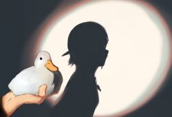 Rule 34 | 1girl, animal, backwards hat, baseball cap, bird, breasts, commentary, different shadow, duck, from side, hat, highres, holding, holding animal, holding bird, hololive, hololive shadow puppet (meme), meme, oozora subaru, parody, pov, pov hands, profile, shadow, shadow puppet, short hair, silhouette, small breasts, solo focus, spotlight, style parody, symbol-only commentary, tomboy, virtual youtuber, whistle, whistle around neck, white bird, xue lian wa noel