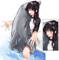 Rule 34 | 1girl, absurdres, bestiality, bikini, black hair, breasts, come hither, dolphin, highres, implied bestiality, implied sex, in water, komi-san wa komyushou desu, komi shouko, large breasts, lips, looking at viewer, mamimi (mamamimi), navel, outstretched arms, pool, poolside, shirt, solo, swimsuit