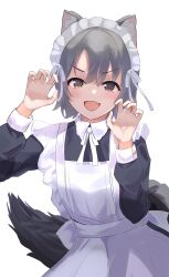Rule 34 | 1girl, absurdres, animal ears, apron, black dress, claw pose, commentary, dress, fang, flat chest, frilled apron, frills, grey eyes, grey hair, hair between eyes, half-closed eyes, halloween, hands up, highres, idolmaster, idolmaster cinderella girls, light blush, long sleeves, looking at viewer, maid, maid apron, maid headdress, open mouth, otokura yuuki, ribbon, short hair, skin fang, smile, solo, tail, v-shaped eyebrows, white apron, white background, white ribbon, wolf ears, wolf tail, yuukura yuu