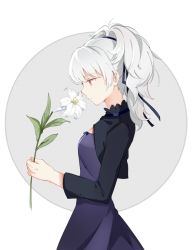 Rule 34 | 1girl, closed mouth, commentary request, darker than black, dress, flower, hair ribbon, highres, lily (flower), ponytail, purple dress, purple eyes, ribbon, silver hair, solo, yin (darker than black), ying weiyu