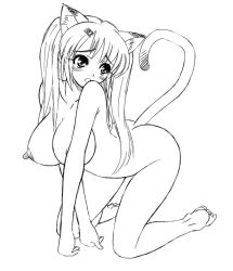 Rule 34 | animal ears, barefoot, breasts, cat ears, cat tail, full body, greyscale, himadarou, huge breasts, monochrome, nipples, nude, solo, tail