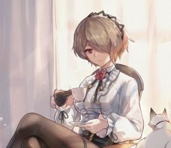 Rule 34 | 1girl, black gloves, black skirt, brown hair, cat, closed mouth, cup, curtains, frilled shirt, frills, gloves, hair over one eye, headband, holding, holding cup, honkai (series), honkai impact 3rd, indoors, long sleeves, looking at animal, mole, mole under eye, pantyhose, purple eyes, rita rossweisse, shirt, short hair, single glove, skirt, smile, solo, stan (honkai impact), teacup, white shirt, zomzomzomsauce
