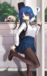 Rule 34 | !, 1girl, absurdres, adjusting footwear, black ribbon, blue hair, blue sky, bocchi the rock!, breasts, brown eyes, brown footwear, brown pantyhose, collared shirt, commentary request, eyelashes, feet, foot out of frame, grey cat, guitar case, hair ornament, hand up, high-waist skirt, highres, instrument case, knhouuuuu, legs, loafers, looking at viewer, medium hair, mole, mole under eye, mouth hold, neck ribbon, outdoors, pantyhose, parted bangs, pleated skirt, ribbon, school uniform, shadow, shimokitazawa high school uniform, shirt, shoes, sidelocks, skirt, sky, small breasts, solo, spoken exclamation mark, standing, standing on one leg, white shirt, yamada ryo