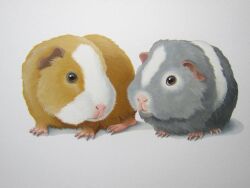 Rule 34 | animal focus, commentary request, dutch commentary, hamster, no humans, original, painting (medium), realistic, simple background, suzan visser, traditional media, white background