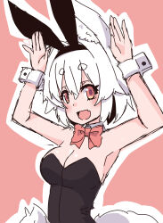 Rule 34 | 1girl, :d, animal ear fluff, animal ears, armpits, arms up, bare shoulders, black leotard, bow, bowtie, breasts, cleavage, fake animal ears, fangs, highres, inubashiri momiji, kuro-ekaki, leotard, looking at viewer, medium breasts, open mouth, outline, playboy bunny, rabbit ears, red background, red bow, red bowtie, short hair, skin fangs, smile, solo, strapless, strapless leotard, tail, touhou, white hair, white outline, wolf ears, wolf girl, wolf tail, wrist cuffs