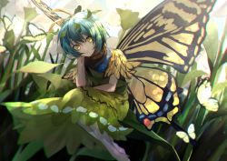 Rule 34 | 1girl, absurdres, antennae, aqua hair, barefoot, bug, butterfly, butterfly wings, dress, eternity larva, flower, green dress, head on hand, highres, insect, insect wings, leaf, leaf on head, otoshiro kosame, short sleeves, solo, touhou, wings, yellow eyes