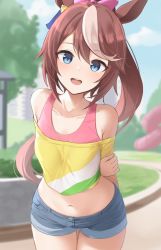 Rule 34 | 1girl, :d, absurdres, animal ears, arm behind back, bare shoulders, blue eyes, blue shorts, blurry, bow, bra, brown hair, collarbone, cowboy shot, crop top, day, denim, denim shorts, depth of field, hair bow, highres, horse ears, long hair, looking at viewer, midriff, multicolored hair, navel, off-shoulder shirt, off shoulder, open mouth, outdoors, pink bra, ponytail, shengtian, shirt, short shorts, shorts, smile, solo, standing, stomach, streaked hair, striped clothes, striped shirt, thighs, tokai teio (umamusume), umamusume, underwear, yellow shirt
