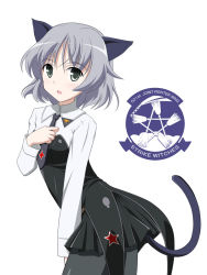 Rule 34 | 00s, 1girl, animal ears, black pantyhose, cat ears, cat girl, cat tail, female focus, green eyes, hyokkori tamago, necktie, pantyhose, sanya v. litvyak, silver hair, solo, strike witches, tail, white background, world witches series