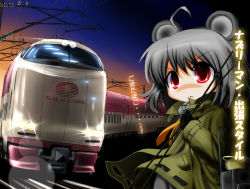 Rule 34 | 1girl, ahoge, animal ears, female focus, grey hair, inyucchi, mouse ears, nazrin, night, red eyes, solo, sunrise express, touhou, train, translation request
