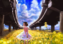 Rule 34 | 1girl, arms behind back, backless dress, backless outfit, bare arms, bare back, black eyes, black hair, blush, bridge, cloud, day, dress, field, flower, from behind, halterneck, looking at viewer, looking back, outdoors, sasahara yuuki, short dress, short hair, sky, solo, standing, sundress, white dress