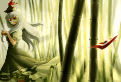 Rule 34 | 1girl, as (ashyblown), bad id, bad pixiv id, bamboo, bamboo forest, female focus, forest, hat, kamishirasawa keine, long hair, nature, solo, touhou