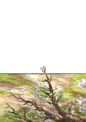 Rule 34 | cherry blossoms, comic, female focus, from above, jizeru (giselebon), no humans, plant, sketch, spring (season), touhou, tree, branch