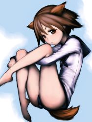 Rule 34 | 1girl, animal ears, barefoot, brown eyes, brown hair, cloud, dog ears, dog tail, female focus, fumio (rsqkr), midair, miyafuji yoshika, short hair, sky, solo, strike witches, tail, world witches series