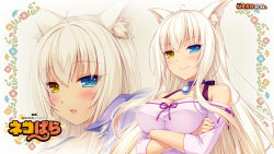 Rule 34 | 10s, 1girl, animal ears, bare shoulders, bell, blue eyes, blush, border, breast hold, breasts, cat ears, cat girl, cat tail, choker, coconut (nekopara), copyright name, crossed arms, female focus, floral background, gradient background, heterochromia, highres, jingle bell, large breasts, long hair, looking at viewer, neck bell, nekopara, off-shoulder shirt, off shoulder, open mouth, platinum blonde hair, sayori (neko works), shirt, slit pupils, smile, solo, tail, very long hair, wallpaper, white hair, yellow eyes, zoom layer