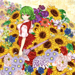 Rule 34 | 1girl, ascot, breasts, chrysanthemum, closed umbrella, daffodil, female focus, flower, flower request, from above, green hair, highres, kazami yuuka, large breasts, lily (flower), lily of the valley, looking back, looking up, nanami (nanami811), plaid, plaid skirt, plaid vest, red eyes, red flower, red rose, rose, short hair, skirt, skirt set, smile, solo, sunflower, touhou, umbrella, vest
