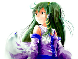 Rule 34 | 1girl, bare shoulders, closed mouth, detached sleeves, female focus, frog hair ornament, green eyes, green hair, hair ornament, kochiya sanae, long sleeves, looking afar, matching hair/eyes, simple background, smile, snake hair ornament, solo, touhou, upper body, vest, white background, yae (mono110)