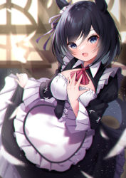 Rule 34 | 1girl, amahara pekozaemon, animal ears, apron, ascot, black dress, black hair, blue eyes, blurry, blurry background, breasts, day, depth of field, dress, eishin flash (umamusume), frilled apron, frilled dress, frills, hair between eyes, hand up, highres, horse ears, horse girl, indoors, juliet sleeves, long sleeves, looking at viewer, medium breasts, open mouth, puffy sleeves, red ascot, skirt hold, solo, sunlight, umamusume, waist apron, white apron