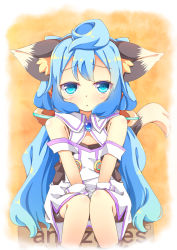 Rule 34 | 10s, 1boy, :t, animal ears, bare shoulders, bike shorts, blue eyes, blue hair, blush, cat ears, gloves, hacka doll, hacka doll 3, highres, kt cano, male focus, matching hair/eyes, short hair, solo, strap slip, trap, triangle mouth