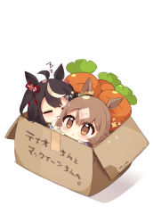 Rule 34 | 2girls, ahoge, animal ears, black hair, blush, box, brown eyes, brown hair, character request, chibi, closed eyes, drooling, hair between eyes, highres, horse ears, in box, in container, mouth drool, multicolored hair, multiple girls, muuran, parted lips, shadow, sleeping, sparkle, streaked hair, stuffed carrot, tape, translation request, umamusume, white background