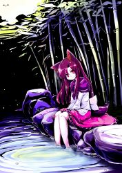 Rule 34 | 1girl, :3, animal ears, azumaya toushirou, bad id, bad pixiv id, bamboo, bamboo forest, brooch, brown hair, dress, forest, highres, imaizumi kagerou, jewelry, long sleeves, looking at viewer, nature, red eyes, rock, sitting, sitting on rock, solo, tail, touhou, water, wide sleeves, wolf ears, wolf tail