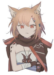 Rule 34 | 1girl, animal ear fluff, animal ears, arknights, bandaged arm, bandages, bare shoulders, black cape, brown hair, cape, closed mouth, cropped torso, crossed arms, ear piercing, fang, fang out, hair between eyes, hair ornament, hairclip, hood, hood down, hooded cape, inu to milk, looking at viewer, notched ear, piercing, prosthesis, prosthetic arm, red eyes, shirt, simple background, solo, upper body, vermeil (arknights), white background, white shirt