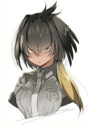 Rule 34 | &gt;:&lt;, 10s, 1girl, :&lt;, breast pocket, closed mouth, collared shirt, eyelashes, grey hair, grey necktie, grey shirt, head wings, kemono friends, long hair, looking at viewer, low ponytail, multicolored hair, nauribon, necktie, no arms, nostrils, orange hair, pocket, sanpaku, shirt, shoebill (kemono friends), short hair with long locks, short sleeves, side ponytail, simple background, sketch, solo, tsurime, two-tone hair, upper body, v-shaped eyebrows, white background, wings, yellow eyes