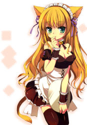 Rule 34 | 1girl, absurdres, animal ears, armband, bell, black thighhighs, blonde hair, blush, breasts, cat ears, cat tail, character request, cleavage, collar, covering own mouth, dress, green eyes, hand over mouth, hand over own mouth, highres, jingle bell, large breasts, long hair, maid, maid headdress, moe (phrase), neck bell, plate, ribbon, riv (rivleaf), short dress, solo, source request, tail, thighhighs, tray, waitress, wrist cuffs, zettai ryouiki