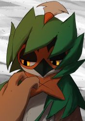 Rule 34 | 1other, absurdres, animal hands, beak, body fur, brown fur, closed mouth, creatures (company), decidueye, furry, game freak, gen 7 pokemon, green fur, grey background, half-closed eyes, hand up, highres, looking down, nintendo, other focus, owata (twrt4388), pokemon, pokemon (creature), sketch, solo, straight-on, upper body, white fur, yellow eyes