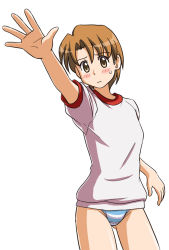 Rule 34 | 1girl, blush, brown eyes, brown hair, contrapposto, fujimoto atsuko, gym uniform, lielos, looking at viewer, no pants, non-web source, original, outstretched arm, panties, shirt, short hair, simple background, solo, spread fingers, standing, sweatdrop, underwear, white background, white shirt