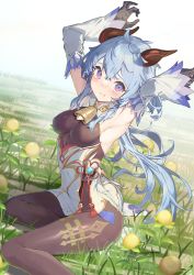 Rule 34 | 1girl, :t, ahoge, arched back, armpits, arms up, bell, black gloves, black pantyhose, blue gloves, blue hair, blush, bodystocking, bodysuit, breasts, chinese knot, curled horns, day, detached sleeves, dress, embarrassed, eyelashes, field, flower, flower field, flower knot, ganyu (genshin impact), genshin impact, gloves, gold trim, grass, highres, horns, ice shard, kikkaiki, large breasts, long hair, looking at viewer, magic, neck bell, pantyhose, pout, purple eyes, sideboob, sidelocks, sitting, solo, tassel, thighlet, very long hair, vision (genshin impact), white sleeves, wide sleeves, yokozuwari