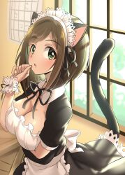Rule 34 | 1girl, animal ears, apron, arm scrunchie, arm under breasts, black dress, black ribbon, blurry, blush, bow, breasts, brown hair, cat ears, cat tail, cleavage, cleavage cutout, clothing cutout, depth of field, dot nose, dress, fake animal ears, fake tail, frilled apron, frilled dress, frills, from side, green eyes, hair bow, hair ribbon, hand up, highres, idolmaster, idolmaster cinderella girls, idolmaster cinderella girls starlight stage, indoors, large breasts, looking at viewer, maekawa miku, maid, neck ribbon, paper, parted lips, ribbon, scrunchie, short hair, short sleeves, solo, swepot, tail, tree, waist apron, white apron, white headdress, white scrunchie, window, wooden box