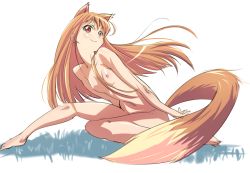 Rule 34 | 00s, 1girl, animal ears, bad id, bad pixiv id, breasts, brown hair, holo, long hair, nipples, nude, p.k., red eyes, small breasts, smile, solo, spice and wolf, tail, wolf ears, wolf tail