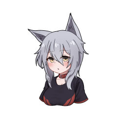 Rule 34 | 1girl, animal ear fluff, animal ears, arknights, black shirt, blush, breasts, brown eyes, cleavage, collar, commentary request, cropped torso, grey hair, hair between eyes, highres, medium breasts, projekt red (arknights), red collar, rock zinc, shirt, short sleeves, simple background, solo, upper body, white background