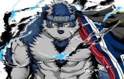 Rule 34 | 1boy, animal ears, bara, blue fur, blue hair, chest hair, closed mouth, commentary request, cropped, furry, furry male, grey fur, grey hair, headband, horkeu kamui, jacket, jacket on shoulders, kano (kano to10), large pectorals, looking at viewer, male focus, multicolored hair, muscular, muscular male, nipples, no shirt, pectorals, scar, scar on face, short hair, smile, solo, tokyo houkago summoners, twitter username, two-tone fur, two-tone hair, upper body, white background, wolf boy, wolf ears, yellow eyes