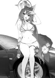 Rule 34 | 1girl, animal ear fluff, animal ears, arm support, arm up, bead bracelet, beads, bikini, blue archive, blush, bracelet, breasts, car, cleavage, commentary, fang, flower, fox ears, fox girl, fox tail, greyscale, halo, highres, jewelry, jun project, large breasts, long hair, looking at viewer, monochrome, motor vehicle, navel, official alternate costume, on vehicle, open mouth, simple background, sitting, skin fang, smile, solo, stomach, sweat, swimsuit, tail, tail flower, tail ornament, tire, vehicle request, wakamo (blue archive), wakamo (swimsuit) (blue archive), white background