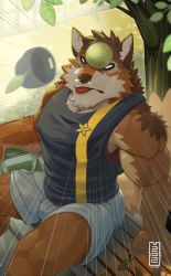 Rule 34 | 1boy, animal ears, bara, barrel (live a hero), baseball, baseball cap, beige fur, bench, black tank top, brown fur, bulge, covered erect nipples, dog boy, dog ears, dog tail, furry, furry male, hat, in the face, large pectorals, live a hero, looking at viewer, male focus, mumuthelion, muscular, orange fur, pectorals, short hair, shorts, sitting, solo, tail, tank top, thighs, tongue, tongue out, white shorts
