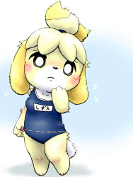 Rule 34 | 1girl, alternate costume, animal crossing, animal ears, animal hands, black sclera, blonde hair, blue background, blue one-piece swimsuit, blush, breasts, character name, collarbone, colored sclera, dog ears, dog tail, feet, female focus, flying sweatdrops, full body, furry, furry female, furuya muku, hair tie, hand on own face, hand up, isabelle (animal crossing), jpeg artifacts, looking at viewer, nintendo, one-piece swimsuit, school swimsuit, short hair, simple background, small breasts, solo, standing, swimsuit, tail, text focus, translated, white eyes