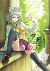 Rule 34 | 1girl, :p, animal ears, arm support, armband, bad id, bad pixiv id, black thighhighs, blue eyes, cat, cat ears, cat tail, drill hair, grey thighhighs, holding, holding with tail, legs, loafers, looking at viewer, original, panties, pantyshot, pink panties, plaid, plaid skirt, pleated skirt, prehensile tail, raybar, school uniform, shoes, silver hair, sitting, skindentation, skirt, solo, spread legs, sweater vest, tail, thighhighs, thighs, tongue, tongue out, tsurime, underwear