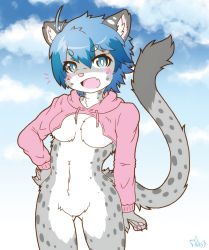 Rule 34 | 1girl, acky05 wolf, blue eyes, blue hair, breasts, furry, furry female, highres, open mouth, short hair, snow leopard, solo, sweater