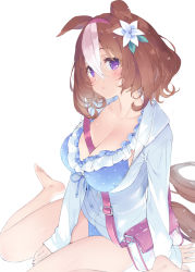 Rule 34 | 1girl, :&lt;, animal ears, bare legs, barefoot, between breasts, bikini, blue bikini, breasts, brown hair, cleavage, closed mouth, commentary request, flower, frilled bikini, frills, front-tie bikini top, front-tie top, hair between eyes, hair flower, hair ornament, highres, hood, hood down, hooded jacket, horse ears, horse girl, horse tail, jacket, kani biimu, large breasts, long sleeves, meisho doto (umamusume), multicolored hair, open clothes, open jacket, polka dot, polka dot bikini, purple eyes, simple background, sitting, sleeves past wrists, solo, strap between breasts, streaked hair, swimsuit, tail, umamusume, wariza, wet, wet hair, white background, white flower, white hair, white jacket