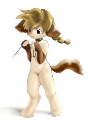 Rule 34 | 1girl, :&lt;, ancesra, animal ears, animal hands, animal nose, barefoot, blush, body fur, brown eyes, brown fur, brown hair, closed mouth, collar, dog ears, dog girl, dog tail, female focus, flat chest, full body, furry, furry female, hair tie, hands up, holding, holding leash, leash, light blush, long hair, looking down, navel, nervous, no nipples, no pussy, nude, original, ponytail, simple background, solo, standing, stomach, tail, two-tone fur, white background, white fur