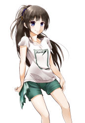Rule 34 | 1girl, absurdres, black hair, blossomsa, blue eyes, highres, long hair, looking at viewer, original, ponytail, shirt, shorts, smile, solo, t-shirt, white background