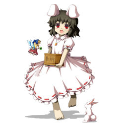 Rule 34 | 2girls, animal, animal ears, barefoot, black hair, blonde hair, blue bow, bow, box, brown hair, carrot, carrot necklace, donation box, dress, eyebrows, fairy, feet, female focus, fukaiton, full body, hair bow, holding, inaba tewi, jewelry, lowres, multiple girls, necklace, open mouth, pink dress, puffy short sleeves, puffy sleeves, rabbit, rabbit ears, red dress, red eyes, short hair, short sleeves, simple background, surprised, toes, touhou, white background, wings