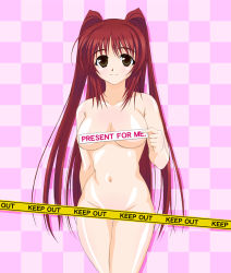 Rule 34 | 00s, 1girl, blush, breasts, brown eyes, caution tape, face, keep out, kousaka tamaki, long hair, nude, red hair, solo, to heart (series), to heart 2, yamaguchi homupe