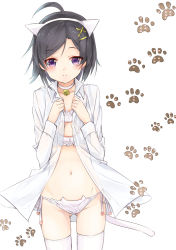 Rule 34 | 10s, 1girl, animal ears, bell, black hair, breasts, cat cutout, cat ears, cat lingerie, cleavage, clothing cutout, collar, collarbone, dress shirt, groin, hair ornament, hairclip, hikigaya komachi, meme attire, navel, neck bell, open clothes, open shirt, panties, purple eyes, shirt, short hair, side-tie panties, simple background, small breasts, solo, tama (05728), thighhighs, underwear, white background, white panties, white thighhighs, x hair ornament, yahari ore no seishun lovecome wa machigatteiru.