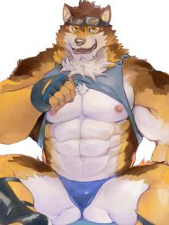 Rule 34 | 1boy, :d, abs, animal ears, bara, bare pectorals, barrel (cool gunfighter) (live a hero), barrel (live a hero), beige fur, blue male swimwear, brown fur, bulge, chest hair, clothes lift, dog boy, dog ears, fuga9, furry, furry male, goggles, goggles on head, grey tank top, large pectorals, live a hero, looking at viewer, male focus, male swimwear, muscular, muscular male, navel, nipples, official alternate costume, open mouth, orange fur, pectorals, shirt lift, sidepec, smile, solo, spread legs, stomach, swim briefs, tank top, thick thighs, thighs, underpec