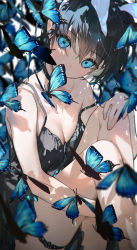 Rule 34 | 1girl, absurdres, black hair, blue eyes, breasts, bug, butterfly, choker, cleavage, genderswap, genderswap (mtf), hand on own knee, highres, houshin engi, insect, looking at viewer, mimoza (96mimo414), shadow, short hair, simple background, sitting, small breasts, solo, taikoubou, thighs, white background