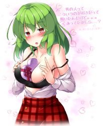 Rule 34 | 1girl, aka tawashi, bare shoulders, between breasts, black bra, blush, box, box of chocolates, bra, breasts, collarbone, commentary request, cowboy shot, green hair, heart, heart-shaped box, highres, kazami yuuka, large breasts, long sleeves, looking at viewer, medium hair, off shoulder, parted lips, plaid, plaid skirt, red eyes, red skirt, shirt, skirt, solo, standing, strap slip, touhou, translation request, underwear, white background, white shirt