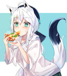 Rule 34 | 1girl, ahoge, animal ear fluff, animal ears, blue background, blush, braid, collarbone, commentary request, eating, food, fox ears, fox girl, fox tail, green eyes, hair between eyes, highres, holding, holding food, holding pizza, hololive, long hair, looking at viewer, pizza, shirakami fubuki, shirakami fubuki (street), shirt, shuuzo3, simple background, solo, tail, virtual youtuber, white background, white hair, white shirt, wide sleeves